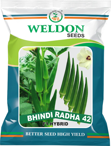 BHINDI RADHA 42