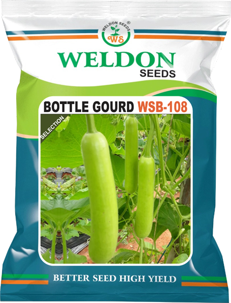BOTTLE GOURD WSB 108