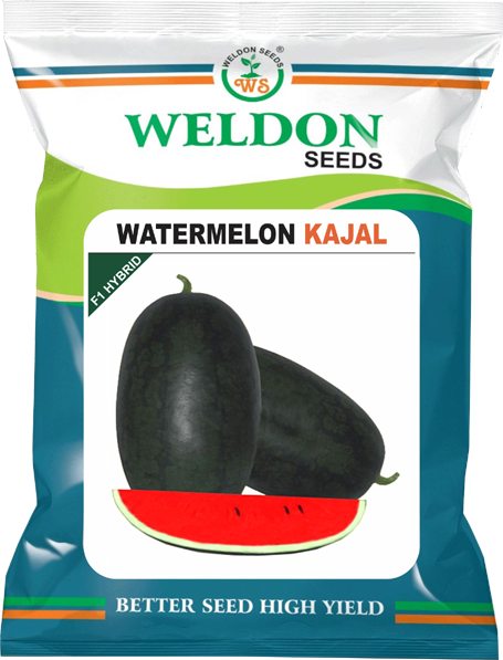 WATER MELON HYBRID KAJAL