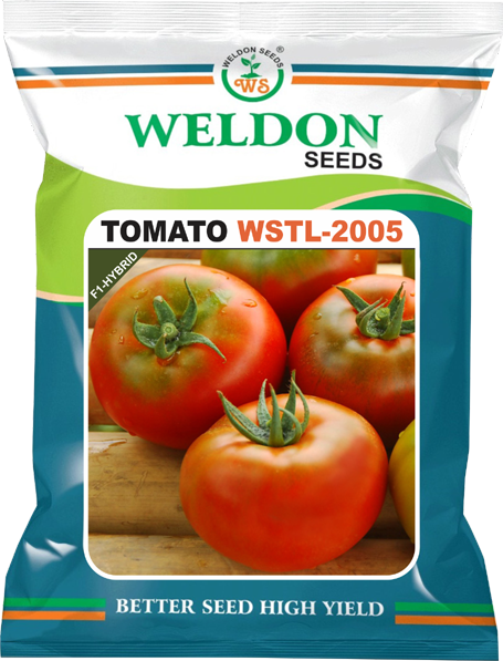 TOMATO  HYBRID WSPL 2005