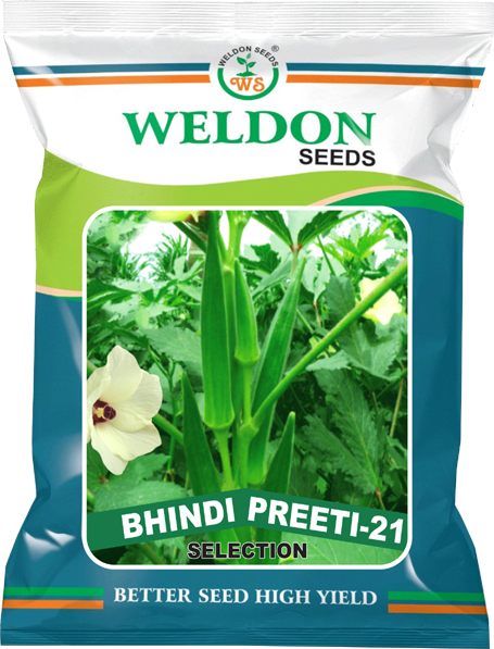 BHINDI PREETI 21