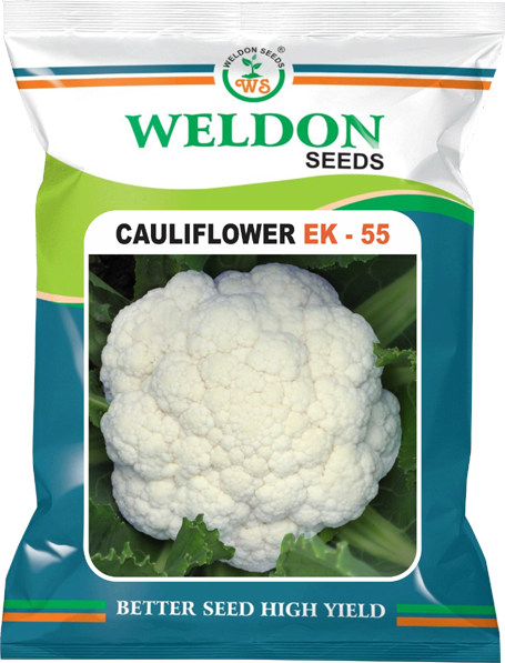 CAULIFLOWER EK-55
