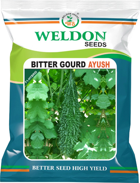 BITTER GOURD HYBRID AYUSH