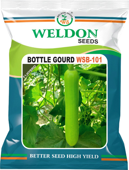 BOTTLE GOURD HYBRID WS 101