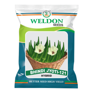 BHINDI JYOTI 121