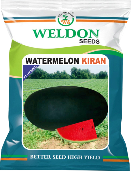WATERMELON KIRAN
