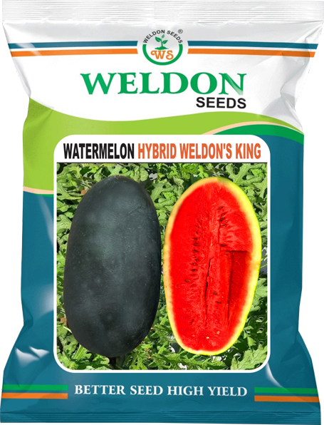 WATERMELON HYBRID WELDON’S KING